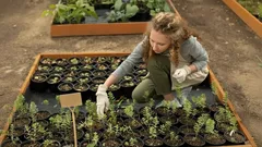 Bästa grönsakerna att så i november för en stark vårskörd