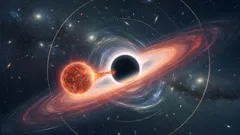 Hur en stjärna överlevde ett dödligt möte med ett svart hål