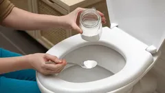 Täppt toalett? Dessa tips hjälper dig att fixa det snabbt.